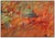 Realism 1970s Adobe Adobe, Tom Perkinson For Sale - Image 3 of 4