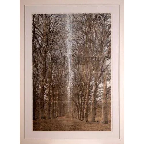 An artistic yet tranquil hand colored lithograph on paper titled “Allee (Alley of Trees)” by New York artist Esteban...