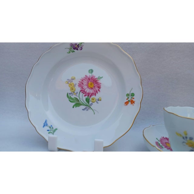 Vintage Porcelain Coffee and Tea Trio Set with Hand-Painted Aster Motif from Meissen, 1970, Set of 3 For Sale - Image 6 of 15