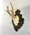 Rustic European 1959 German Roe Deer Antlers For Sale - Image 3 of 4