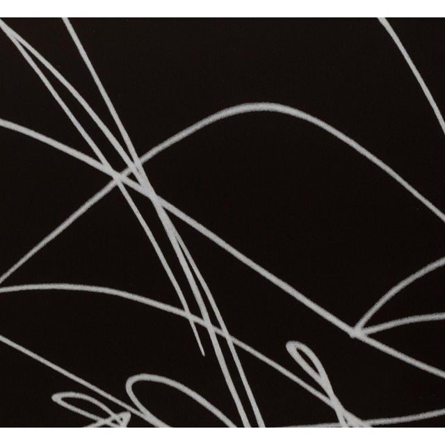Contemporary Anne Sager Abstract Scribble Composition C-Print For Sale - Image 3 of 6