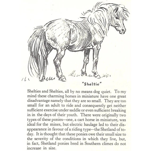 "Getting to Know Your Pony" 1950 Edwards, Lionel For Sale - Image 11 of 13