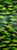 Original Abstract Oil Painting on CradledPanel Green “Breezy” Signed 36” X 12” For Sale
