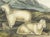 Original first edition Audubon stone lithograph from "The Viviparous Quadrupeds of North America", octavo edition, printed...