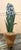 Tommy Mitchell Tole Potted Hyacinth For Sale In Miami - Image 6 of 11