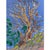Mid 20th Century Vintage Arnold Grossman Monoprint - Ancient Bristlecone Pine Tree, C. 1970s For Sale - Image 5 of 8
