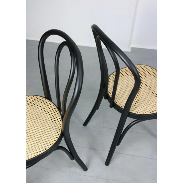 Bentwood No. 218 Chairs, Set of 2 For Sale - Image 11 of 18