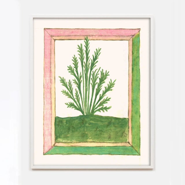 These fun, colorful prints are from a book of Herbs from 1462 – yes, the middle ages! The 'Book of Herbs' is one of the...