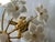 White Daisies Murano Ceiling Light, 1980s For Sale - Image 13 of 15