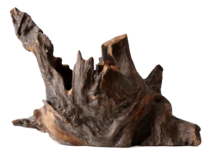 Organic Driftwood Sculpture