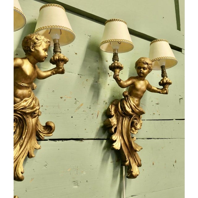 Rococo Baroque Style Gilt Cherub Wall Lights, 1900, Set of 2 For Sale - Image 3 of 7