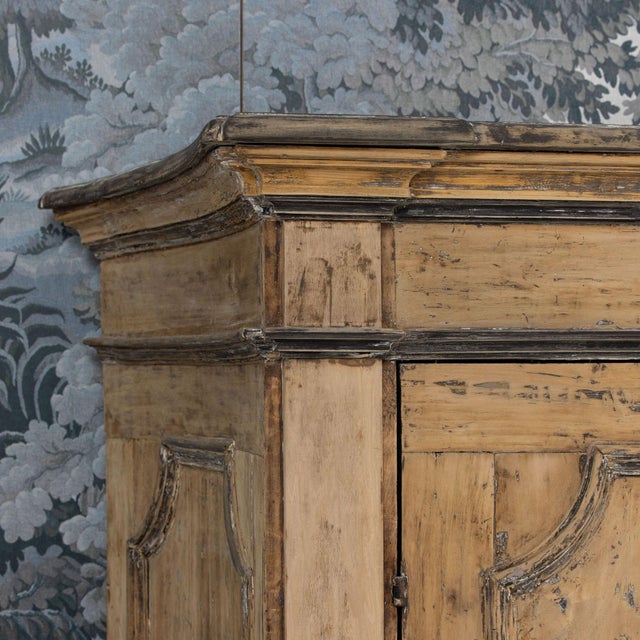 18th C. Italian Birch & Maple Wood Cabinet in the Baroque Style For Sale - Image 12 of 12