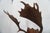 j.h. Armer Mounted English Antlers For Sale - Image 4 of 11