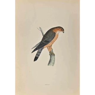 Alexander Francis Lydon, Merlin, Woodcut Print, 1870 For Sale