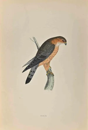 Alexander Francis Lydon, Merlin, Woodcut Print, 1870