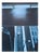 Jacques Monory, Skyscrapers, Original Signed Silkscreen Print For Sale