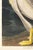 Black American White Pelican (Audubon), Vintage Art Print Reproduction, 40" X 60" For Sale - Image 8 of 9