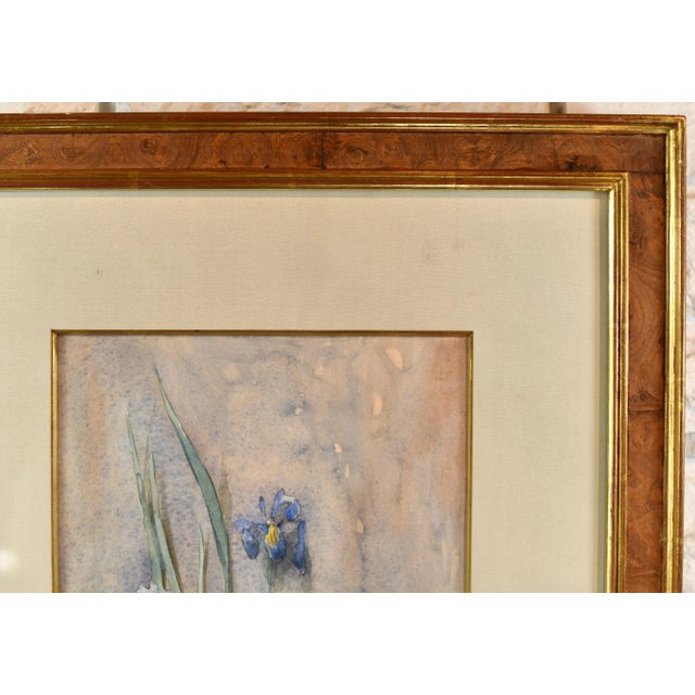 1980s Original Vintage Thomas Daly Iris Flower Watercolor Painting For Sale - Image 5 of 13