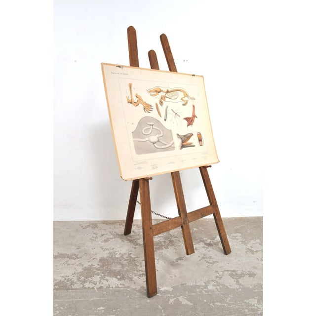 Adjustable Easel in Oak, 1900s For Sale - Image 3 of 11