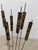 Metal Torch-Cut Brutalist Iron Cattail Table or Floor Sculpture, 1960s For Sale - Image 7 of 13