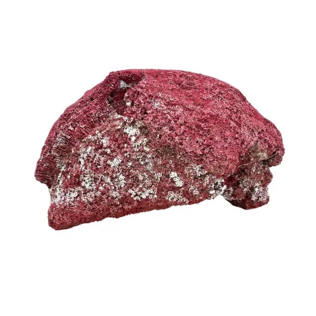 Very Large Red Coral Specimen #3 For Sale - Image 4 of 10