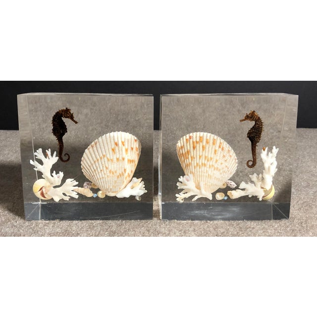 Mid 20th Century Pair of Whimsical Clear Bookends With Seashells and Seahorse For Sale In New York - Image 6 of 12