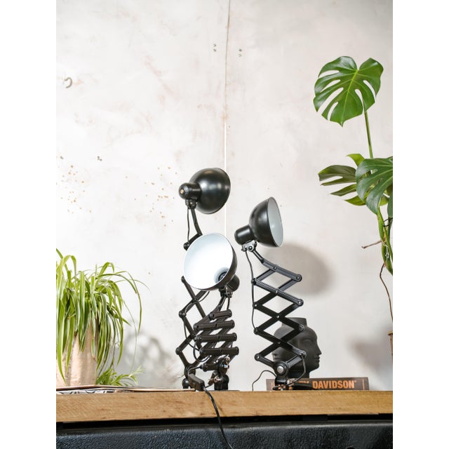 Bauhaus 6718 Scissor Lamp in Satin Black by Christian Dell from Kaiser Idell, 1930s, Set of 3 For Sale - Image 14 of 18