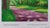 Undergrowth Poster after David Hockney For Sale - Image 4 of 6