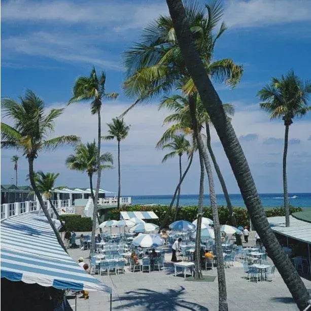Florida Palms 1978 A view of palm trees at a beach resort in Boca Raton, Florida, April 1978. Slim Aarons Slim Aarons was...