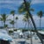 Florida Palms 1978 A view of palm trees at a beach resort in Boca Raton, Florida, April 1978. Slim Aarons Slim Aarons was...