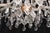 Transparent Early 20th Century Restored Large Scale Marie Therese Crystal Chandelier For Sale - Image 8 of 11