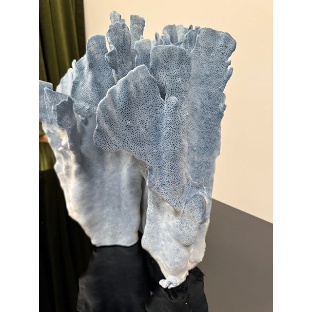 Late 20th Century Very Large Specimen of Blue Coral For Sale - Image 5 of 12