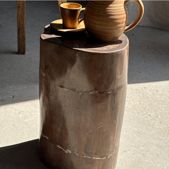 Side Table in Brown Petrified Wood, 1980s For Sale - Image 9 of 18