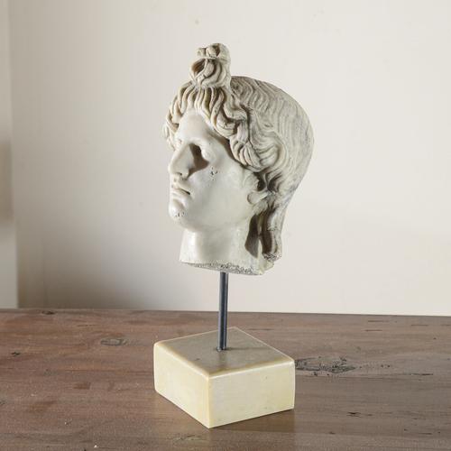 Impasto Bust of Apollo For Sale - Image 3 of 7
