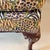 Vintage Hancock & Moore Animal Print Wingback For Sale In Washington DC - Image 6 of 11