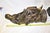 19 Th century Lady Bronze with mandolin Signed For Sale - Image 11 of 18