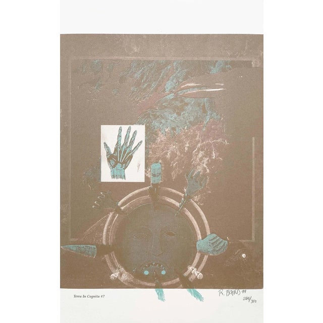 "Terra in Cognita #7" Contemporary Abstract Numbered Lithograph by Rebecca Baird For Sale