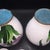 Pair of Vintage Cloisonné Enamel Iris Floral Lidded Jars / Tea Caddies For Sale - Image 9 of 15