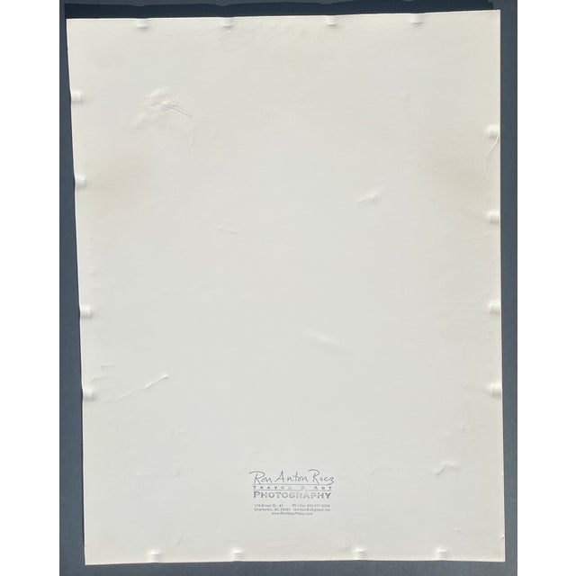 Ron Rocz Two Meeting Street Inn Battery Charleston Photograph For Sale - Image 6 of 6