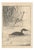 Imao Keinen, Little Grebe from Keinen Kacho Gafu, 1892, Woodblock Print For Sale
