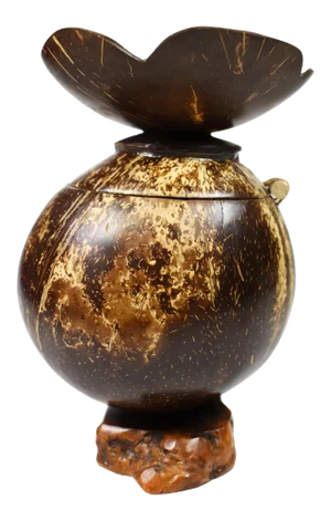 Vintage Handmade Natural Coconut Shell Lidded Box Display on Wooden Base