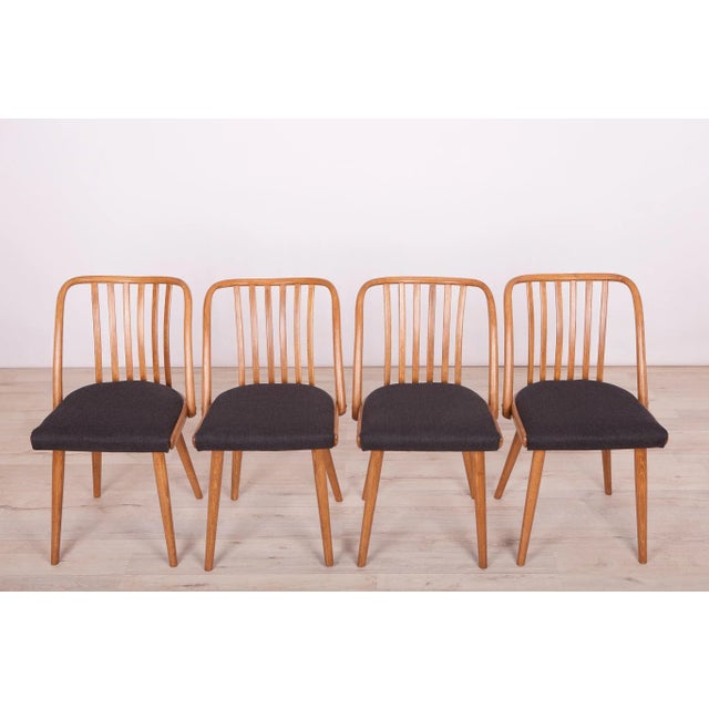 Mid-Century Modern Dining Chairs by Antonín Šuman for TON, 1960s, Set of 4 For Sale - Image 3 of 14