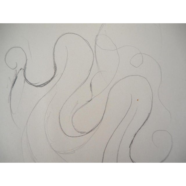 Marie LAURENCIN ornamental study Original pencil drawing Signed with the artist's stamp On paper 13.5 x 14.5 cm Very good...