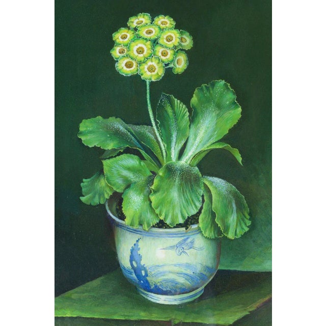 Figurative 1980s Green and Yellow Auricula in Blue and White Bowl Gouache Painting by Jose Escofet For Sale - Image 3 of 9