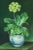 Figurative 1980s Green and Yellow Auricula in Blue and White Bowl Gouache Painting by Jose Escofet For Sale - Image 3 of 9
