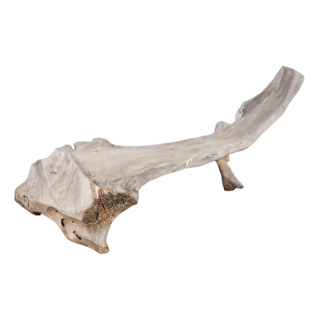 Large Organic Teak Root Bench, Circa 1940-60 For Sale