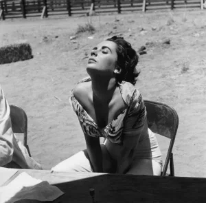 Elizabeth Taylor, 1955. 11x14 Print by Sid Avery