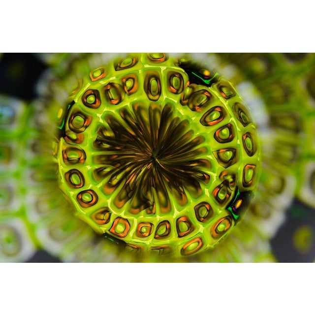 Murano Glass Vase with Murrine in the style of Murrine Romane For Sale - Image 6 of 18