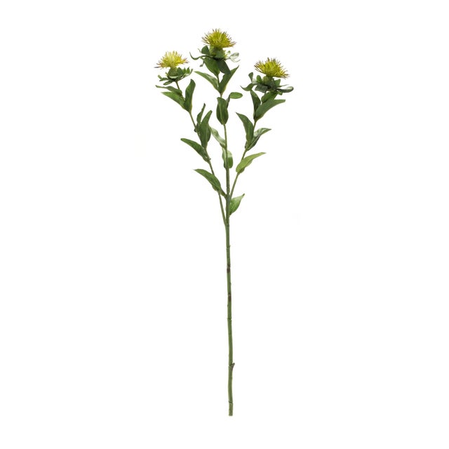 Rustic Green Thistle Floral Spray (Set of 6) For Sale - Image 3 of 3