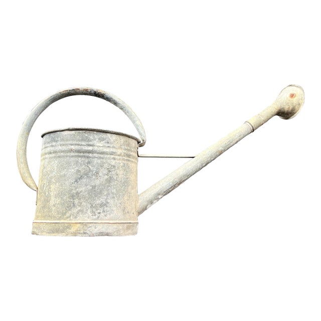 Vintage Metal Bat Watering Can For Sale